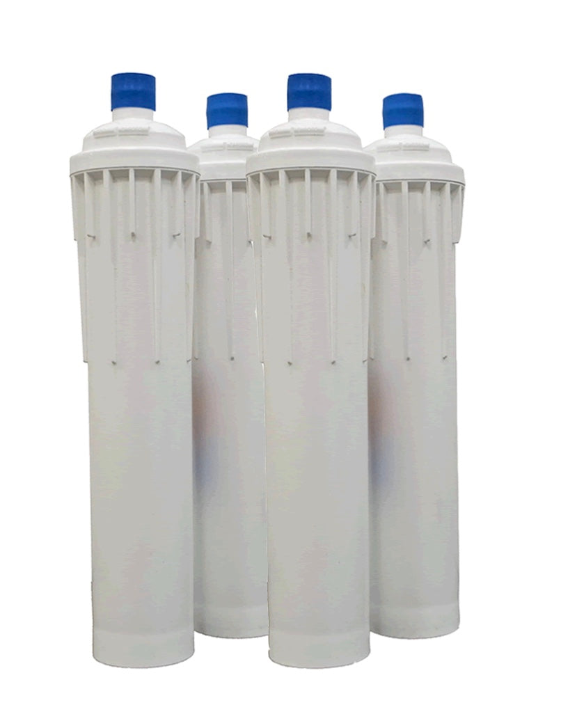 T-100 Water Filter Set, 2-Pack (1 Year Supply)